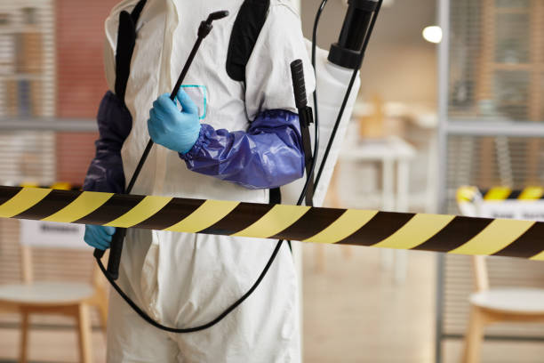Professional Hoarding Cleanup technician working in Harrison, ME